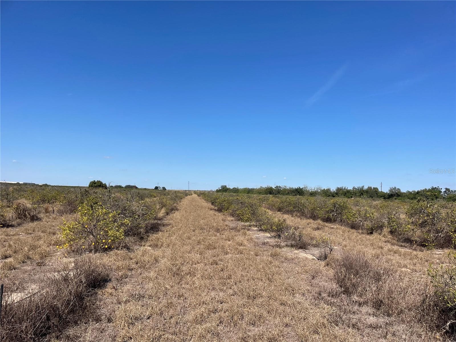 Lawrence Stewart Rd, FL