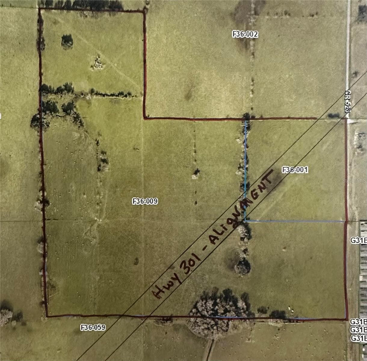 Cr 523, FL