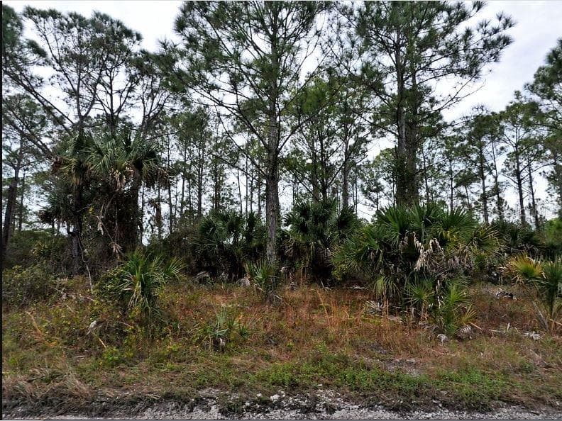 Langlais Dr, FL