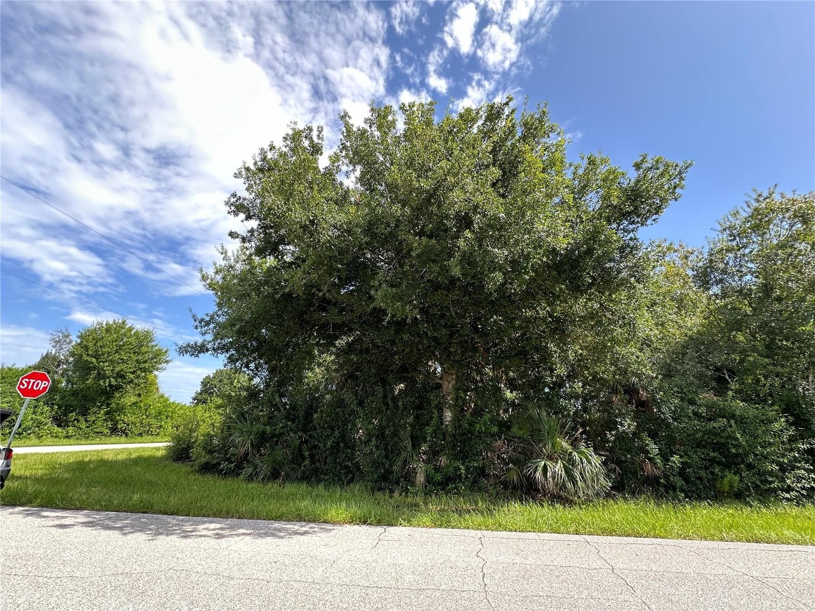 12088 Henley Ave, FL