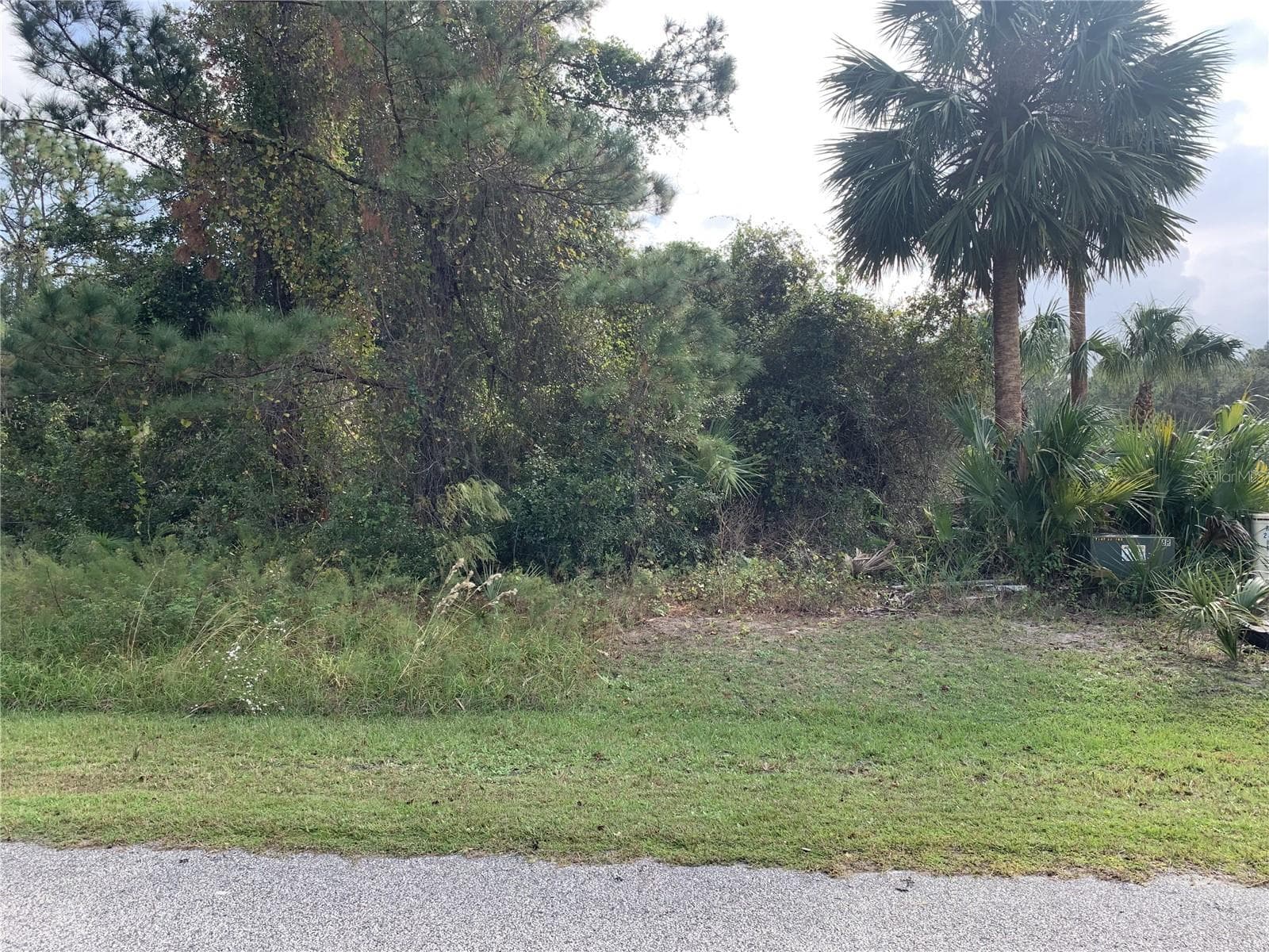 220 Live Oak Blvd, FL
