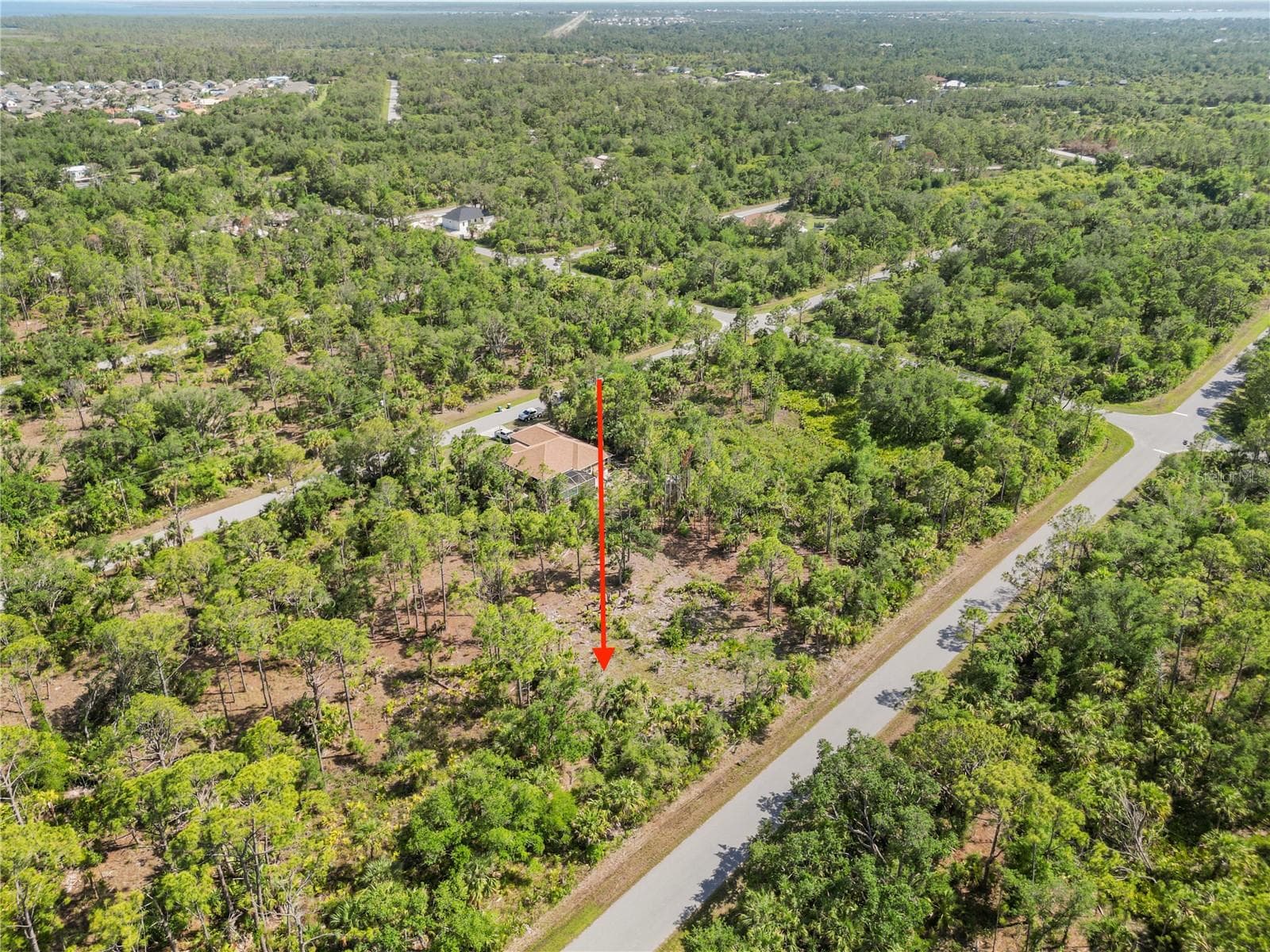 1419 Lace Ter, FL