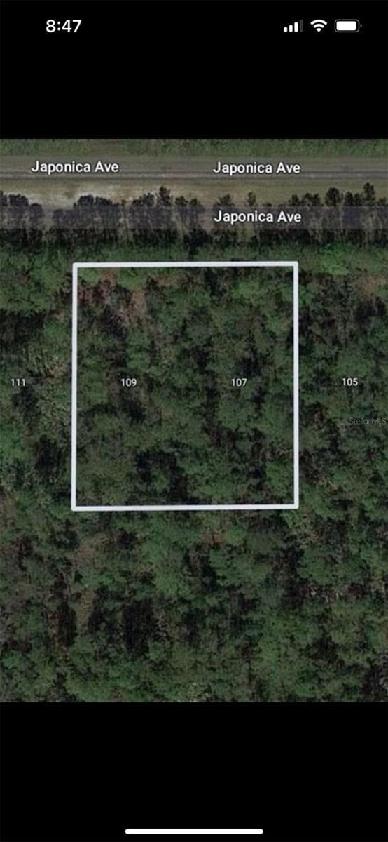 109 Japonica Ave, FL
