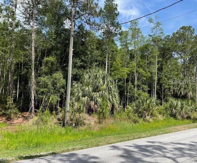 Thunderhead Street, FL