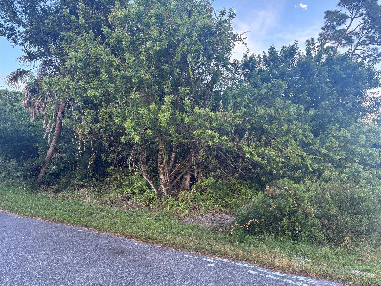 773 Red Bay St, FL