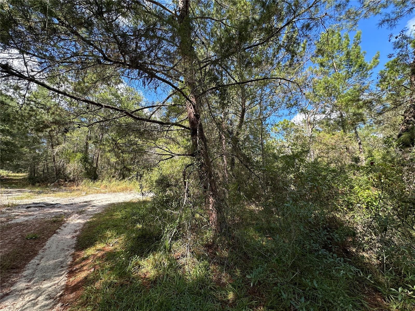 Tbd Ne 138th Ave, FL