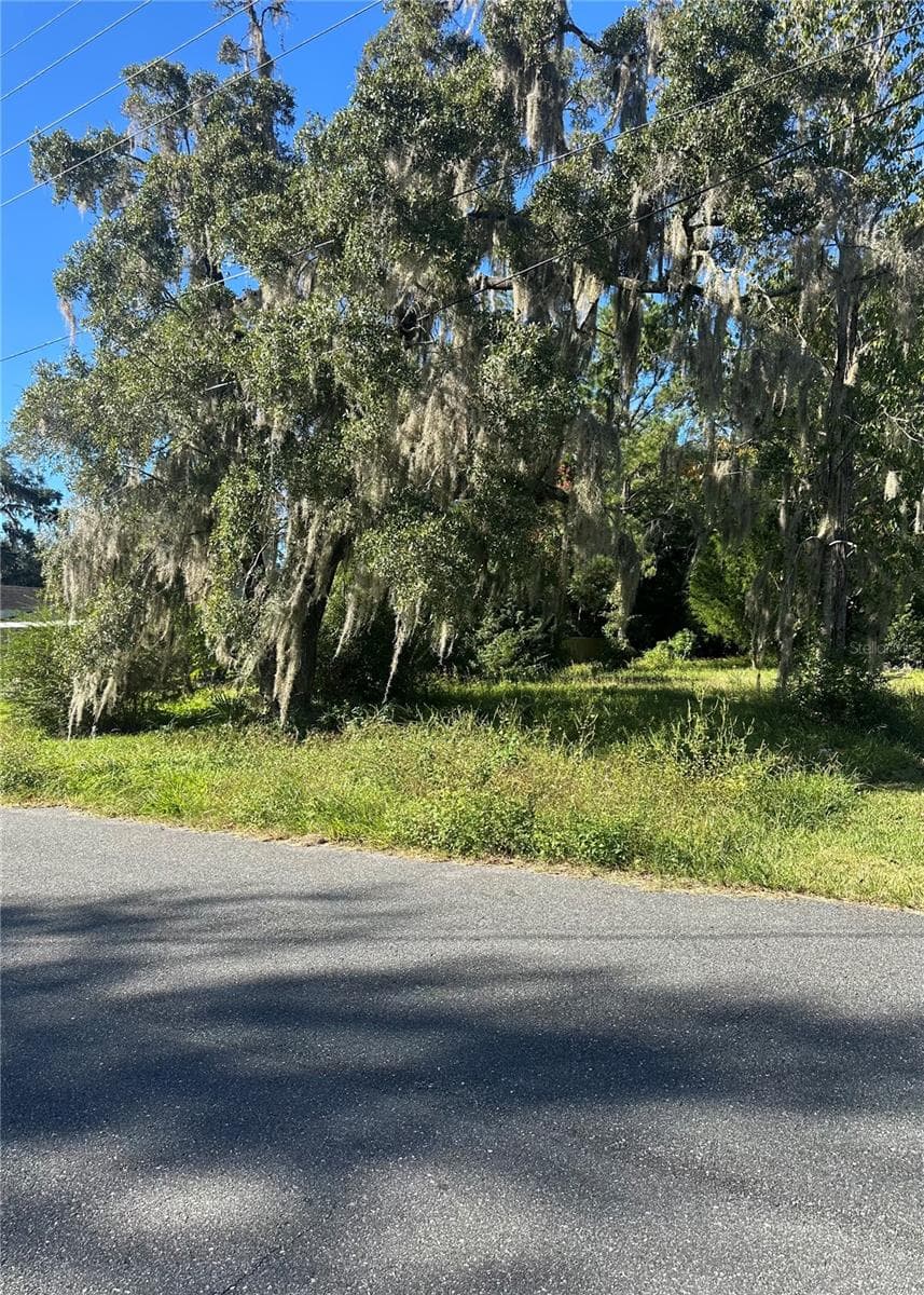 Lot 8 Ne 1st St, FL
