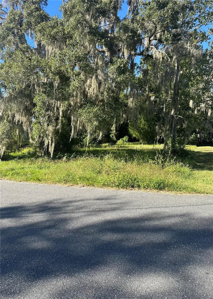 Lot 8 Ne 1st St, FL