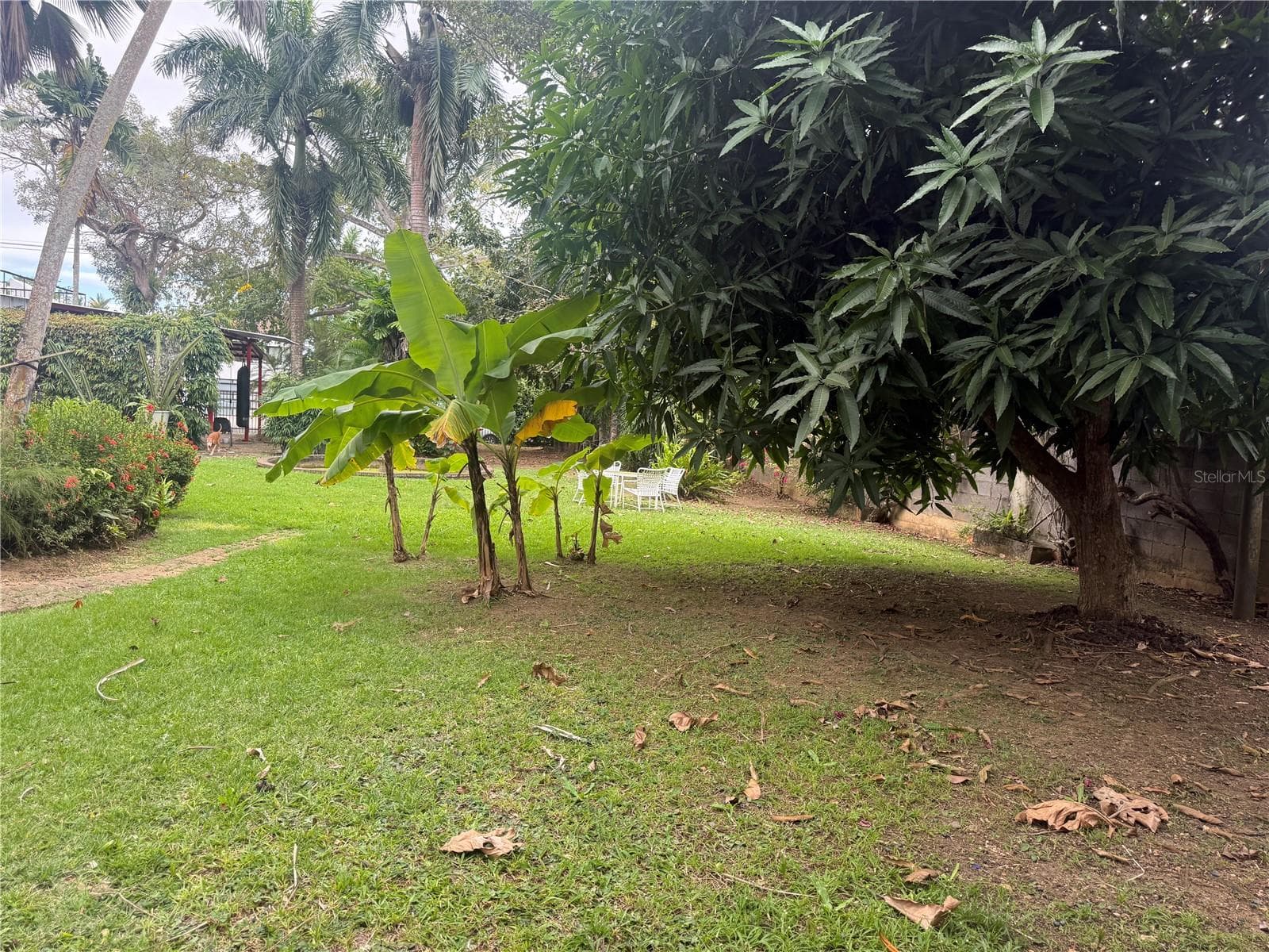 Calle Pedrosa, Garden Hills, PR