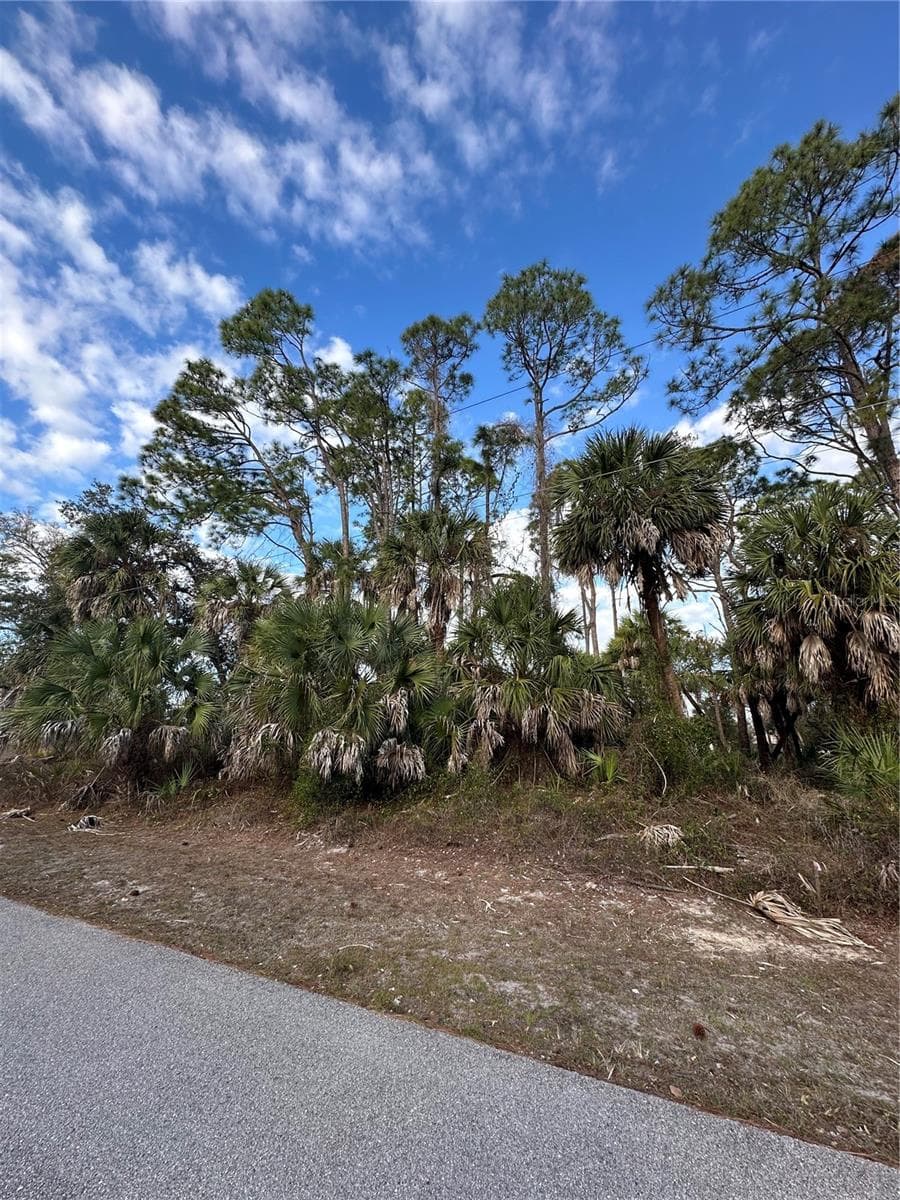 Joann Ter, FL