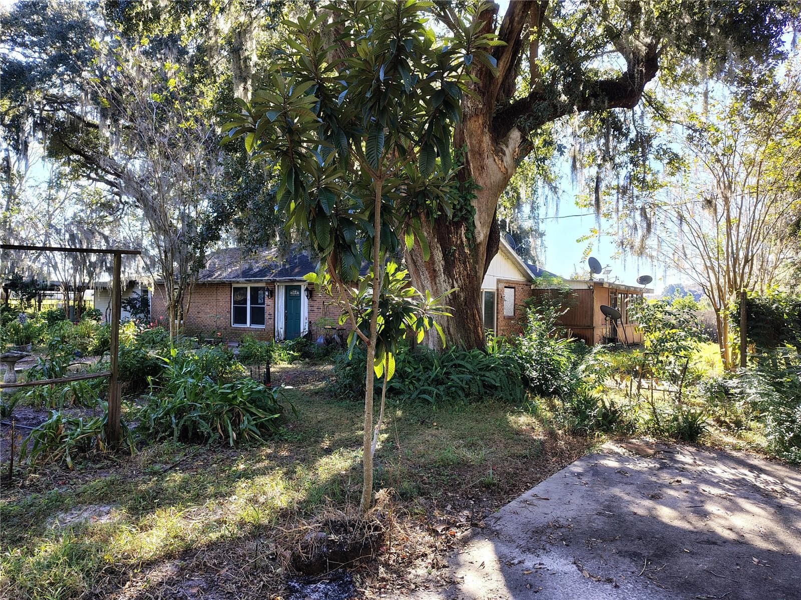 3537 E C 462, FL