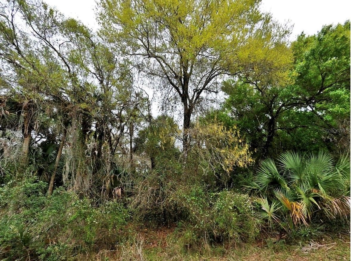 Backert Rd., FL