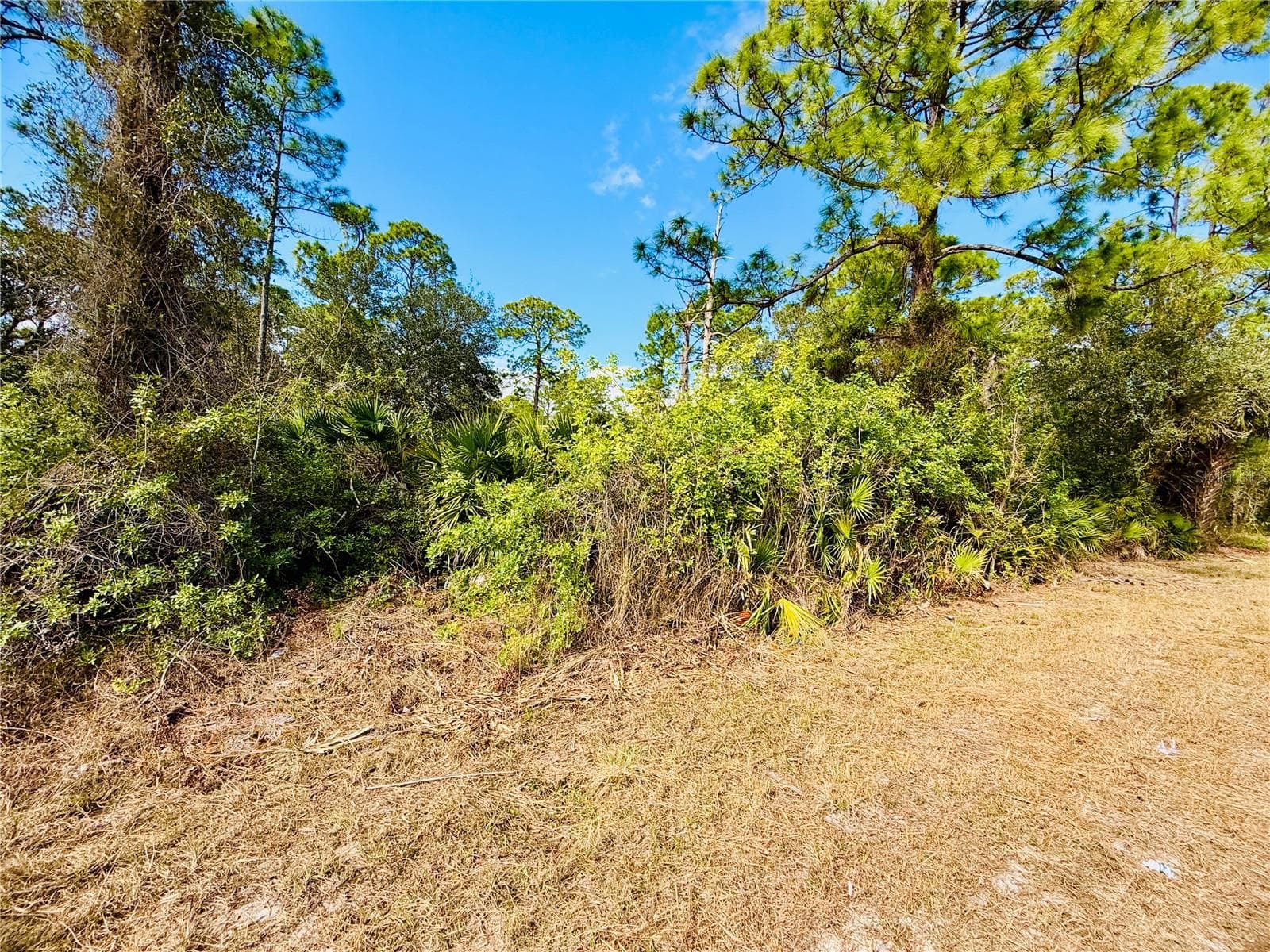 2007 Truman Ave, FL