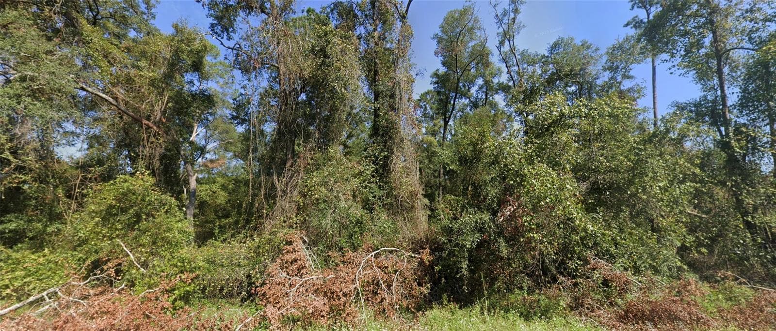 Tbd Nw Suwannee Valley Road, FL