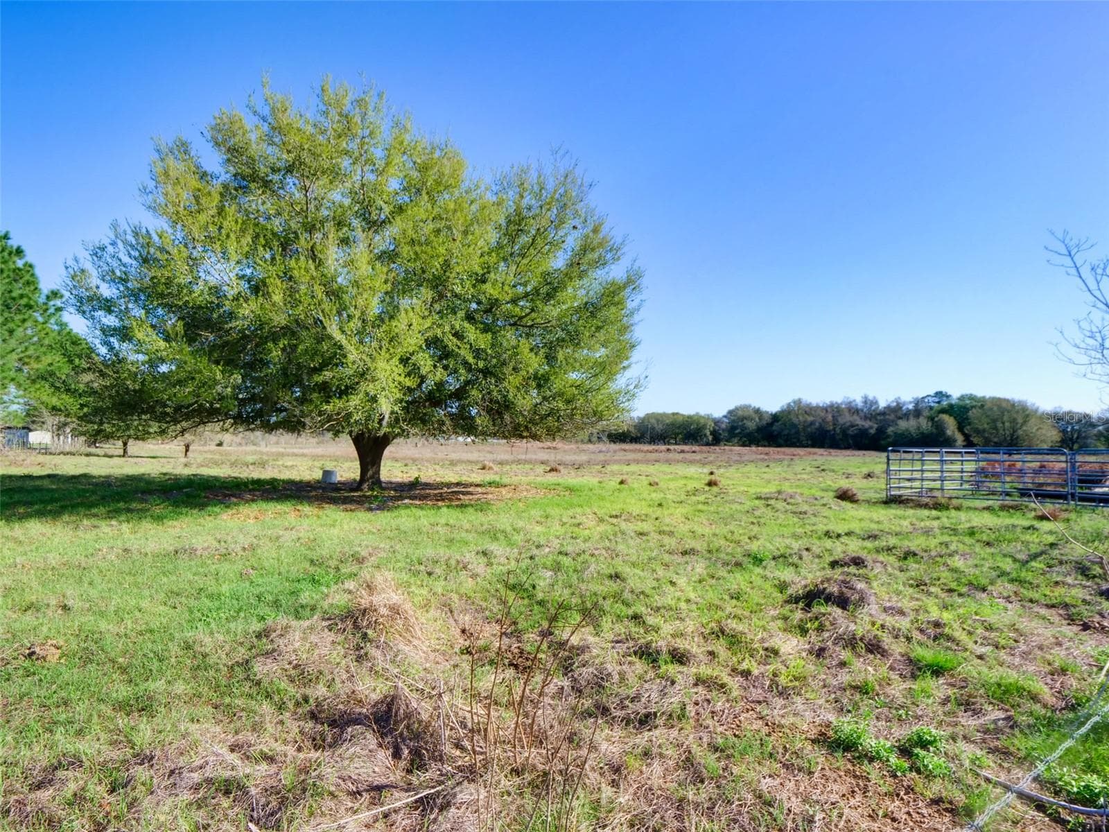 000000- Cr 614a, FL