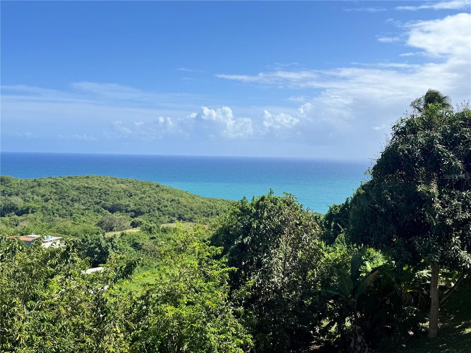 El Cocal Beach And Country Club #1, PR