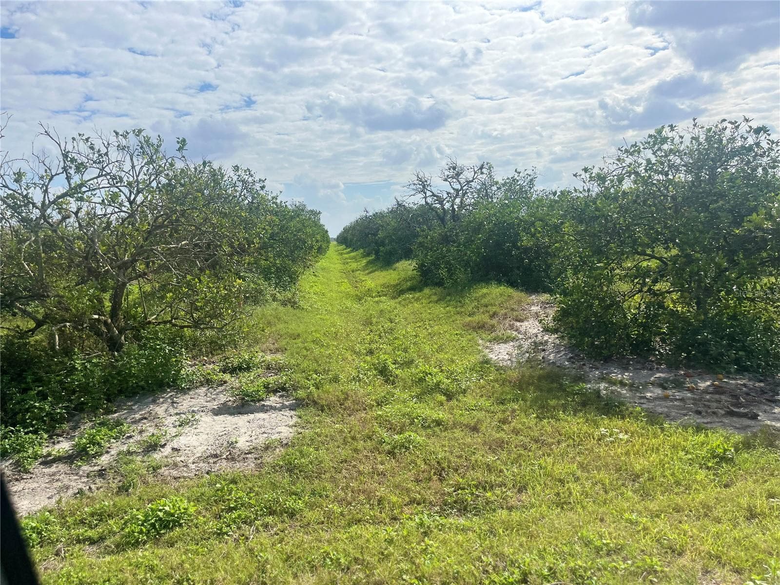 Ne Hwy 70, FL