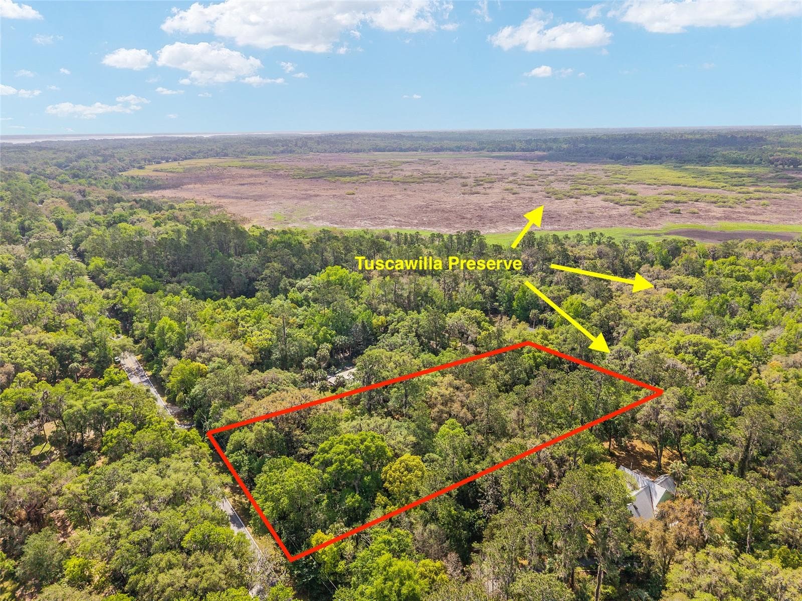 227 Se Tuscawilla Rd, FL