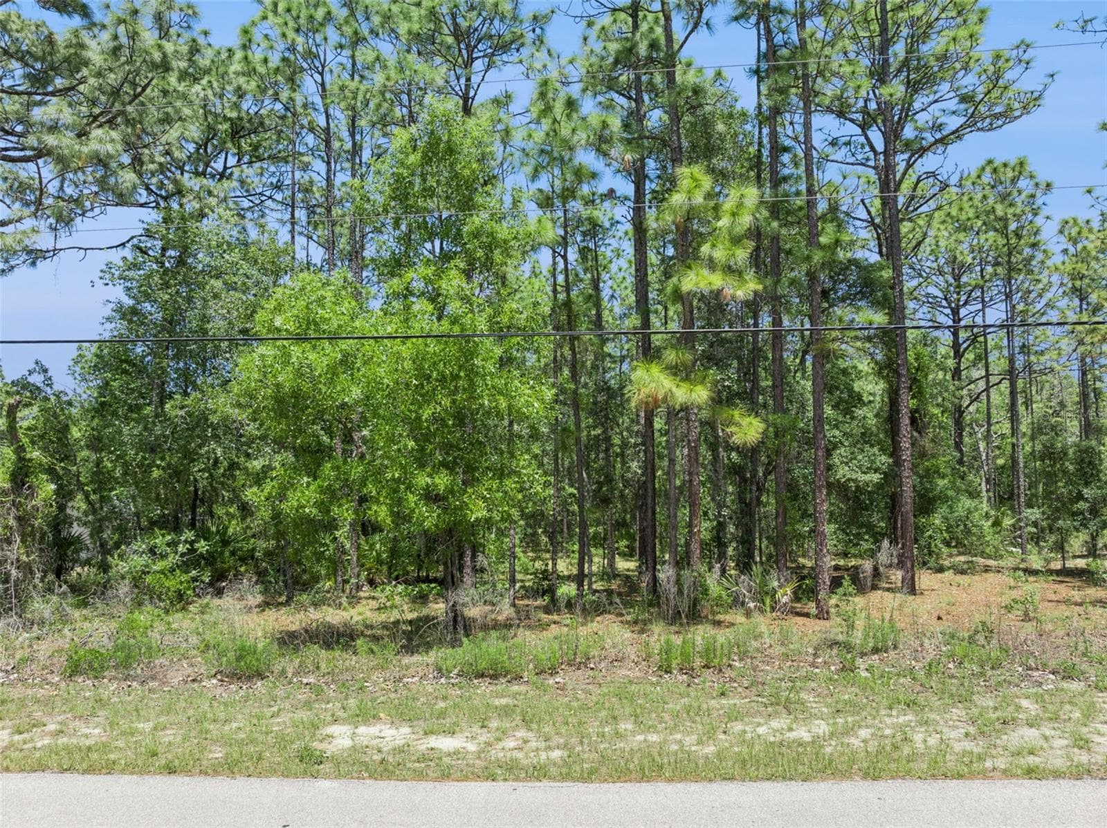 1797 W Union St, FL