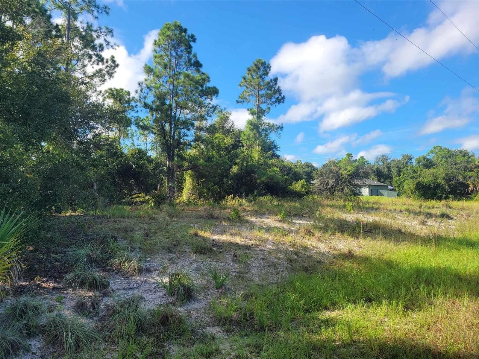 Scenic Rd, FL