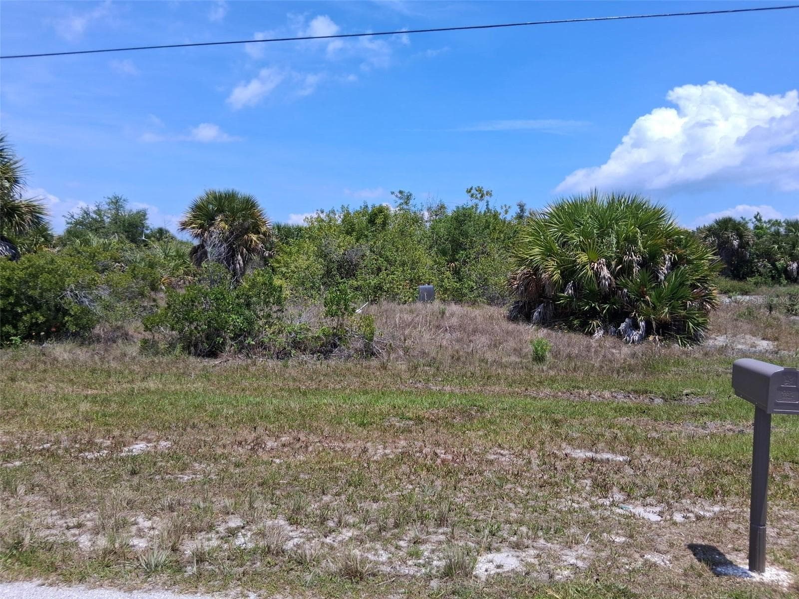 10166 Kingsville Dr, FL