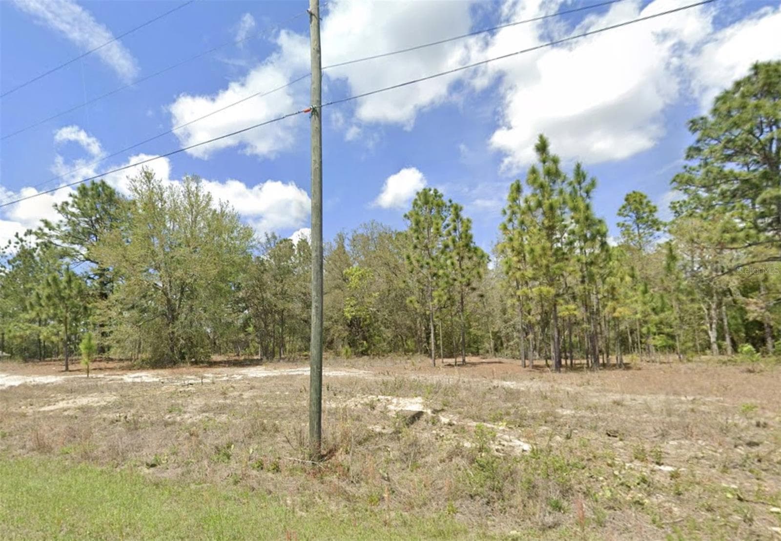 1907 W Corrine St, FL