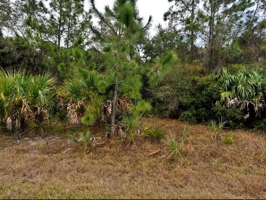 Van Leer Ave, FL