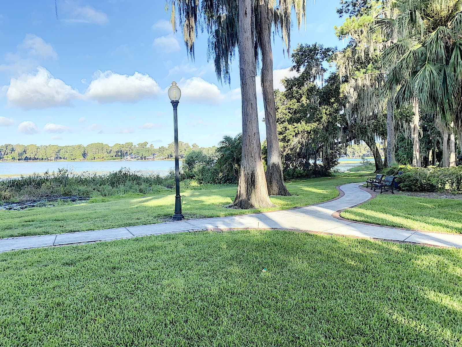 Lakefront walking path with lamp post and Spanish moss canopy at Cypress Grove Park