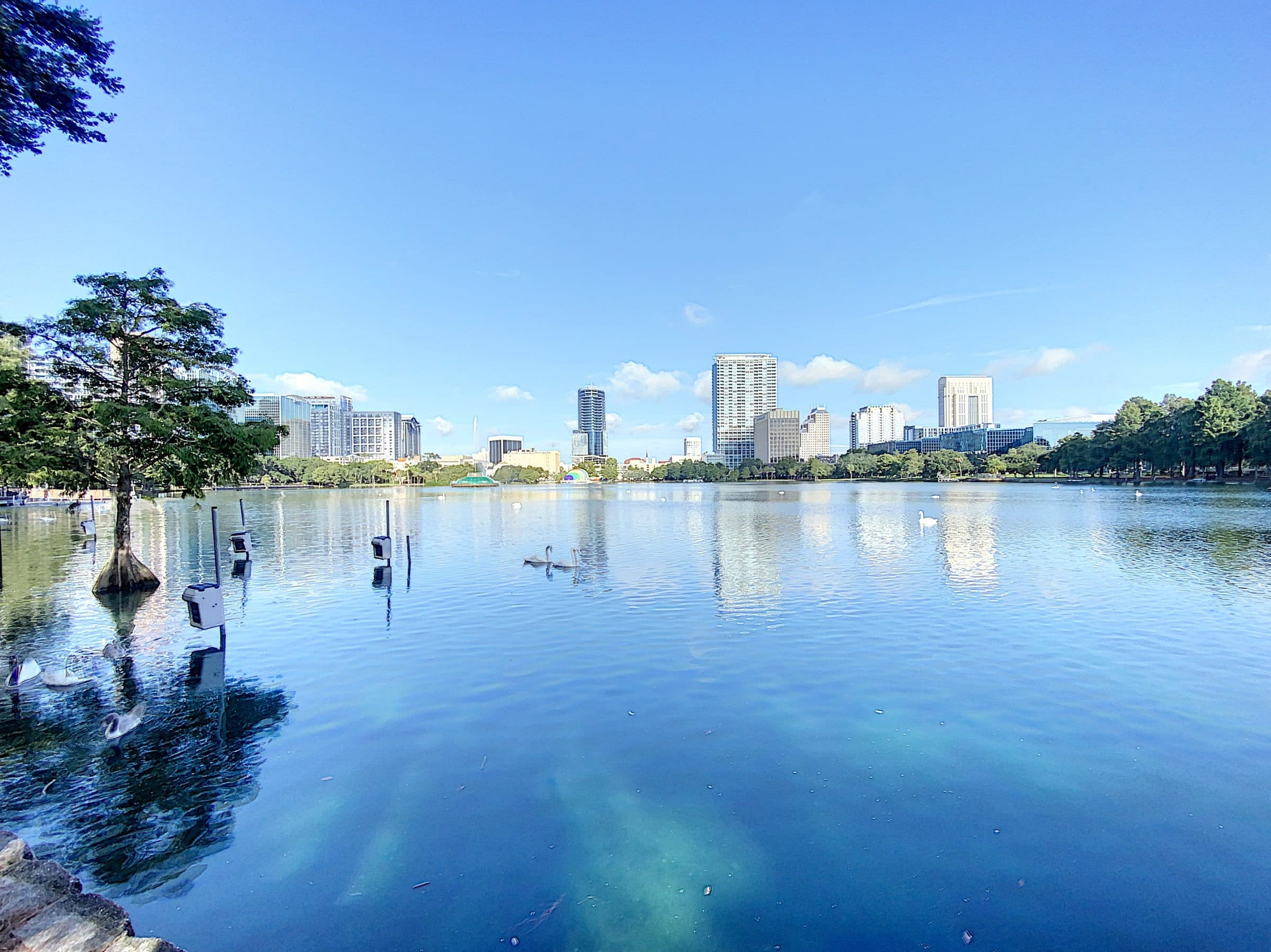 Lake Eola morning view with the downtown skyline and swans