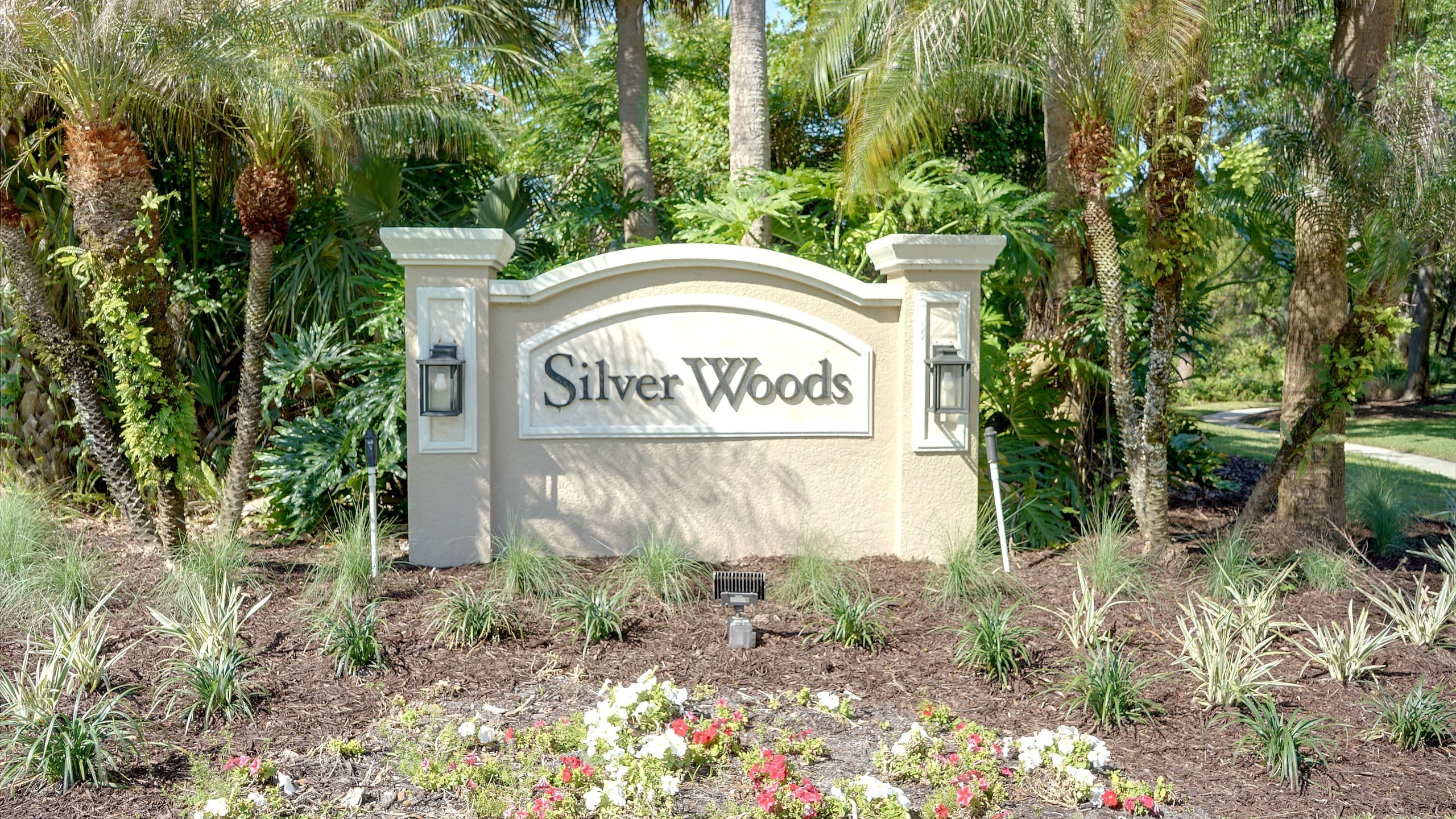 Tree-lined street in Silver Woods, Dr. Phillips, FL