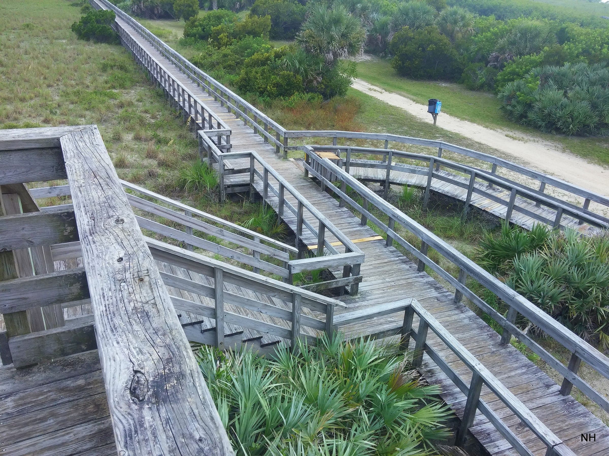 Smyrna Dunes Boardwalk — coastal dune ecosystem at NSB (nick hoke, CC BY 3.0)