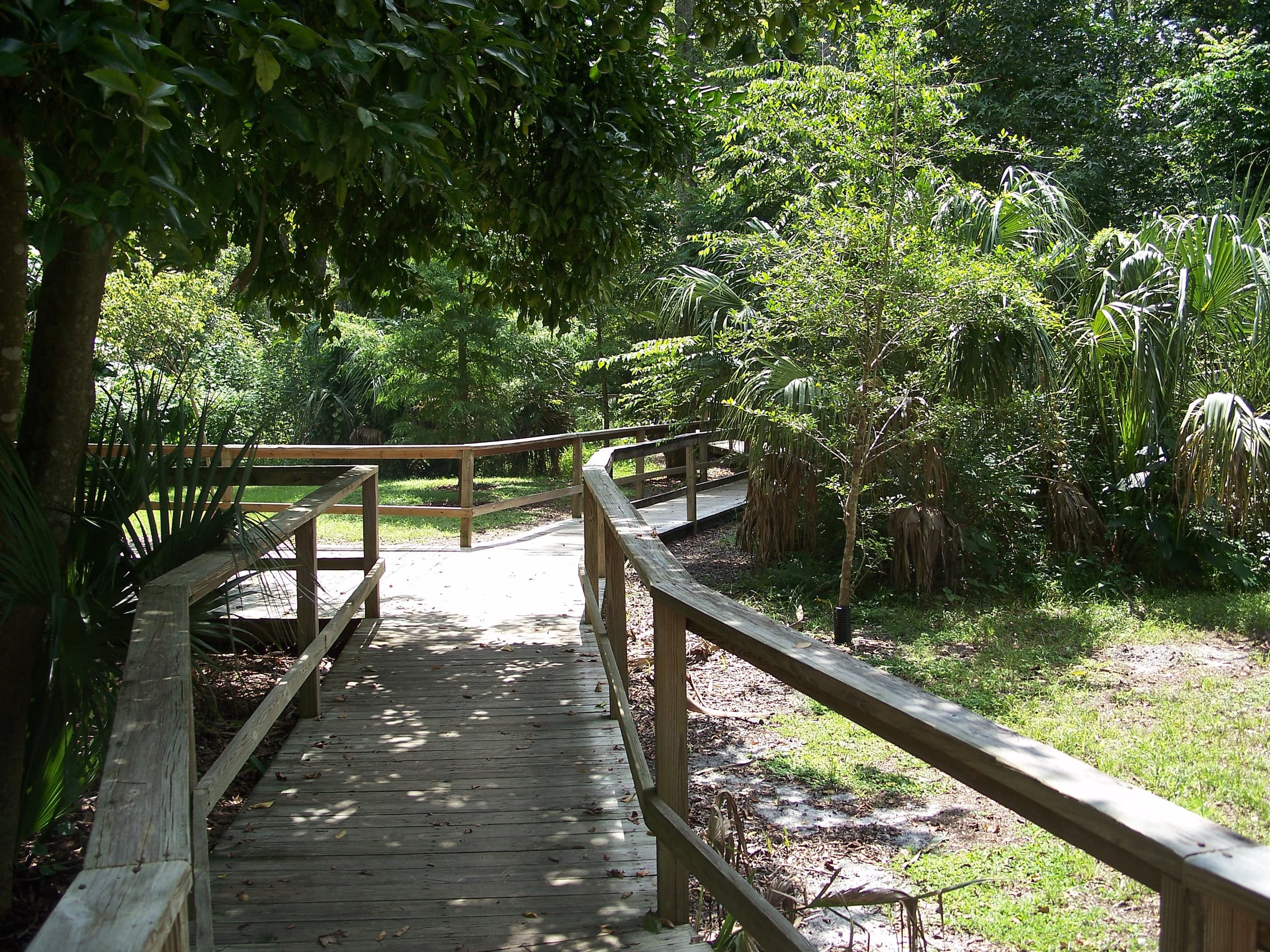 Boardwalk trail through Senator Park nature preserve in Longwood, Florida