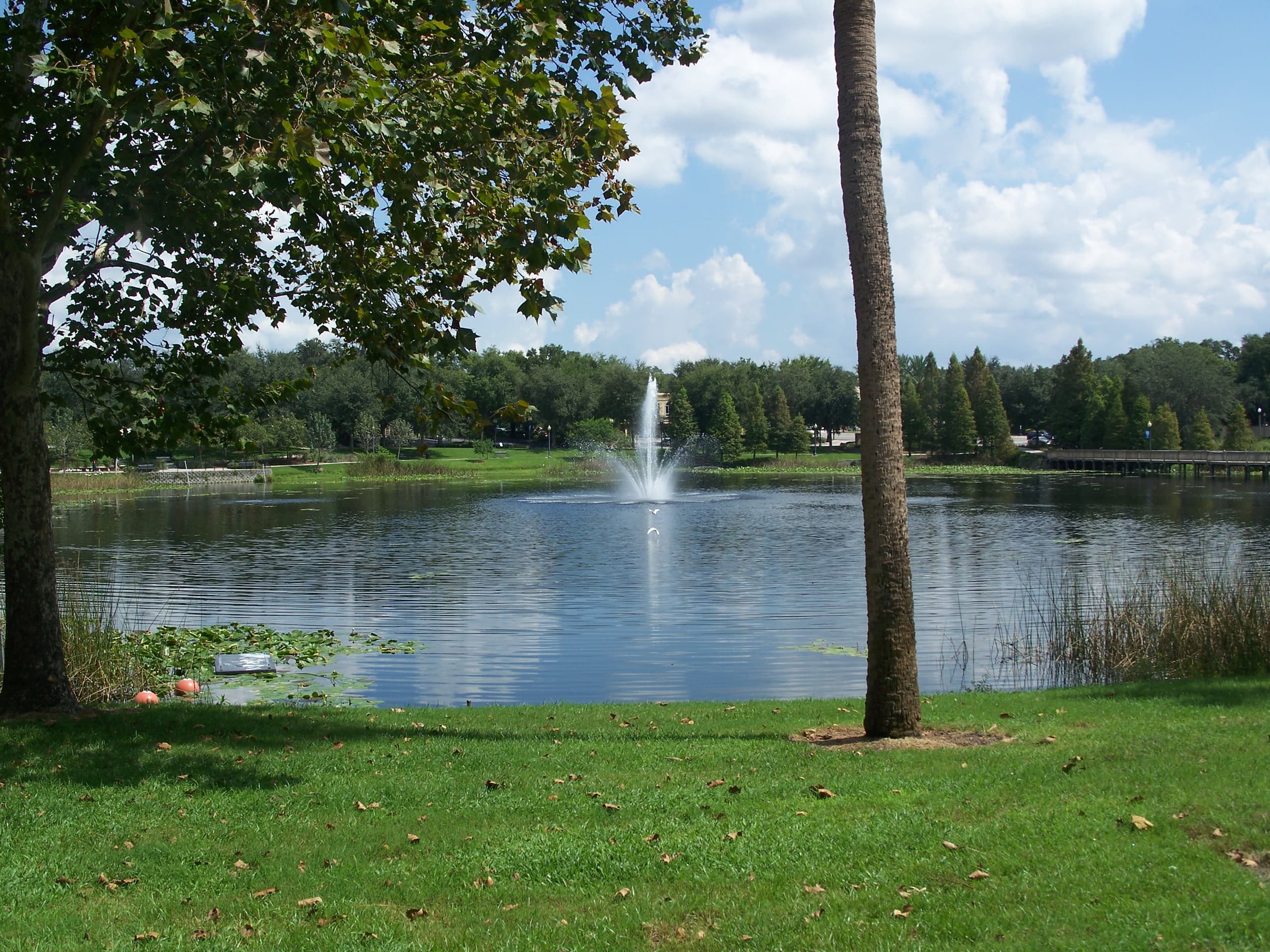 Lake Lily Park in Maitland, Florida — peaceful lakeside fountain and green parkland