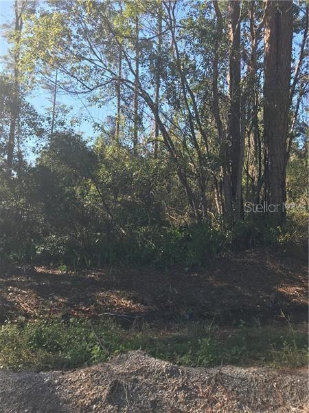 Hill Paper Avenue, FL