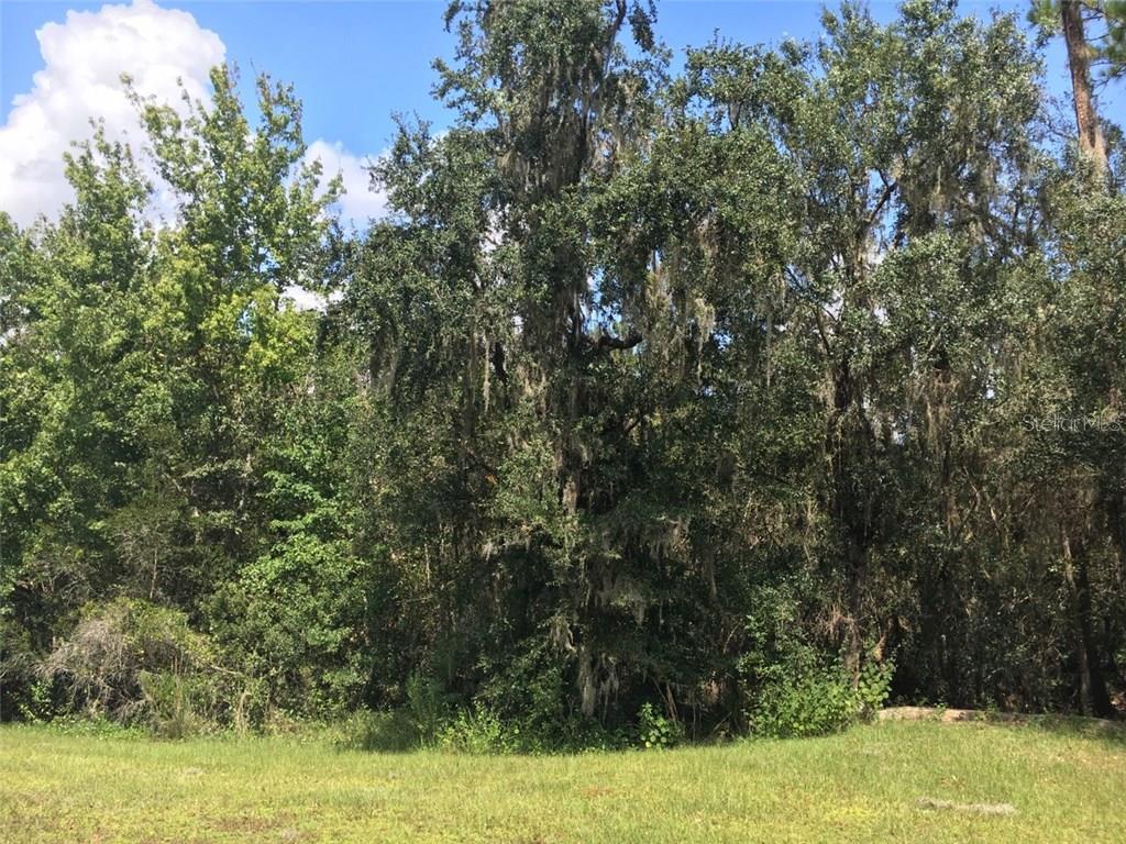 41025 20th Place, FL