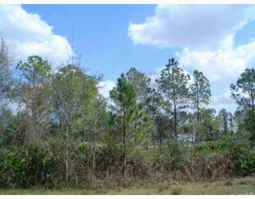 ZEPHYRHILLS, FL