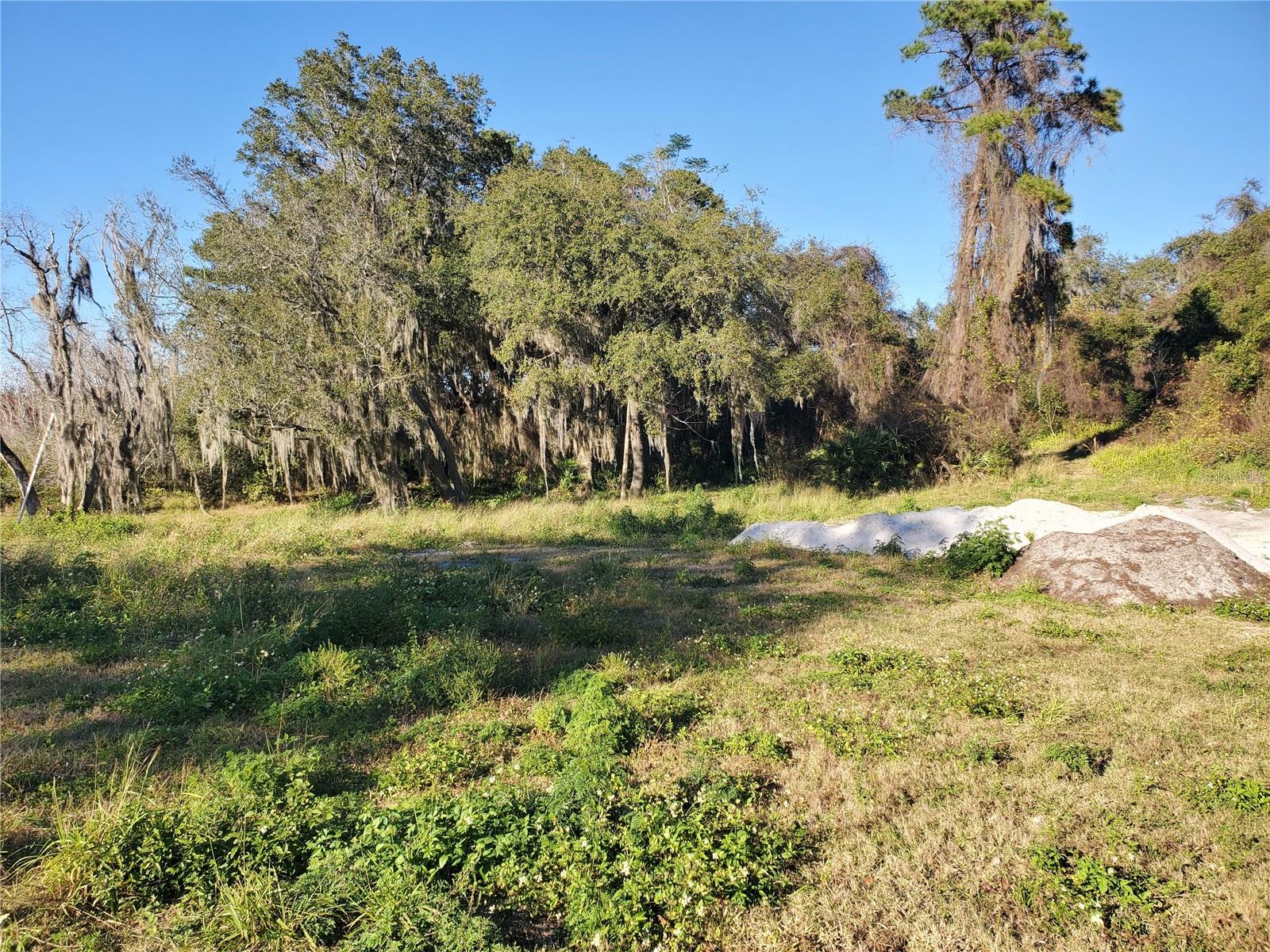 732 Waterfall Circle, FL