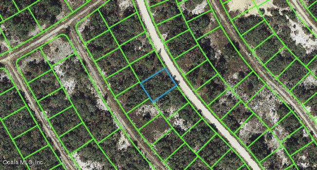 314 Wildwood Drive, FL