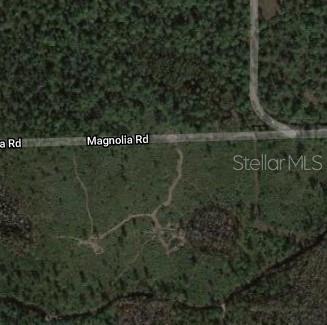 Magnolia Road, FL