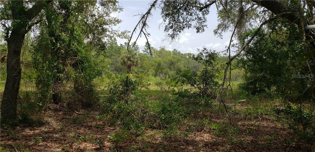 Lot 11 Ne Alt Hwy 27, FL