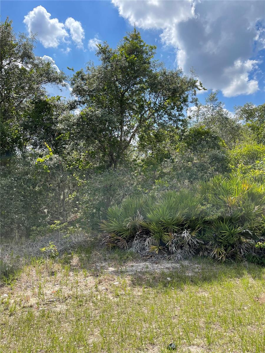 615 Mediterranean Court, FL