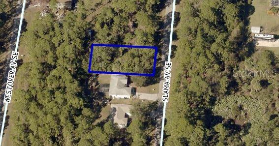 3226 Slama Ave Se, FL