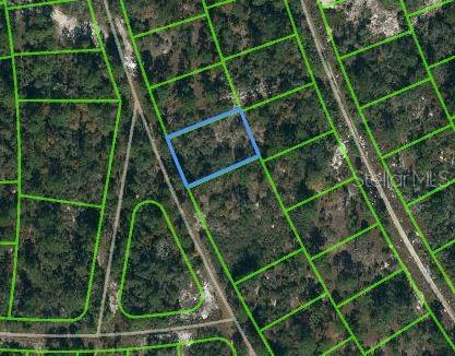 387 Blue Horizon Drive, FL