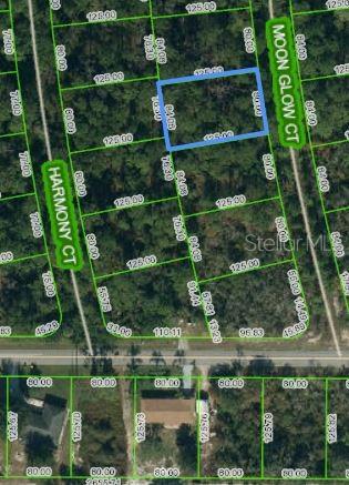 216 Moon Glow Court, FL