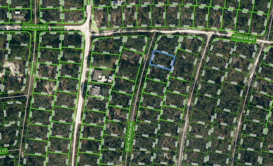 325 Blue Heaven Dr, FL