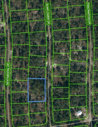 244 Sunflower Drive, FL