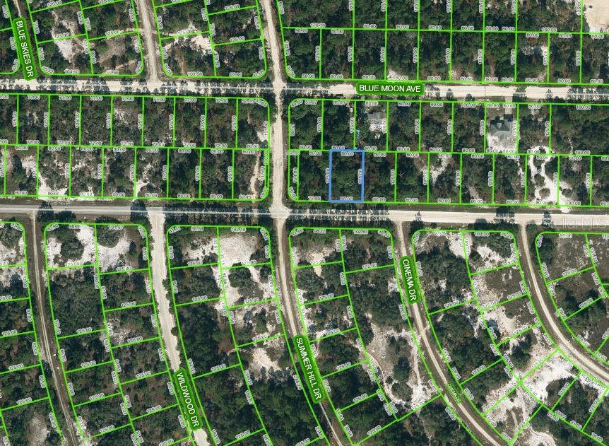 384 Jack Weisser Blvd, FL