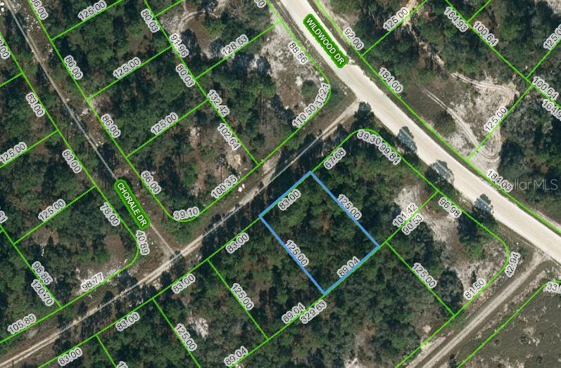 391 Cartier Avenue, FL