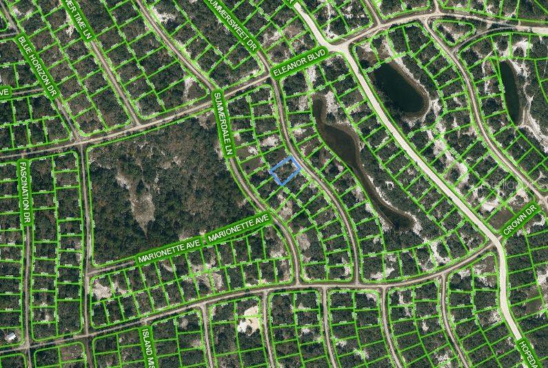 316 Summersweet Dr, FL