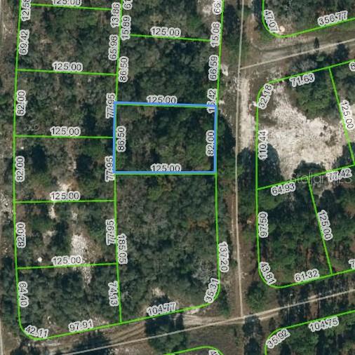 244 Blue Horizon Drive, FL